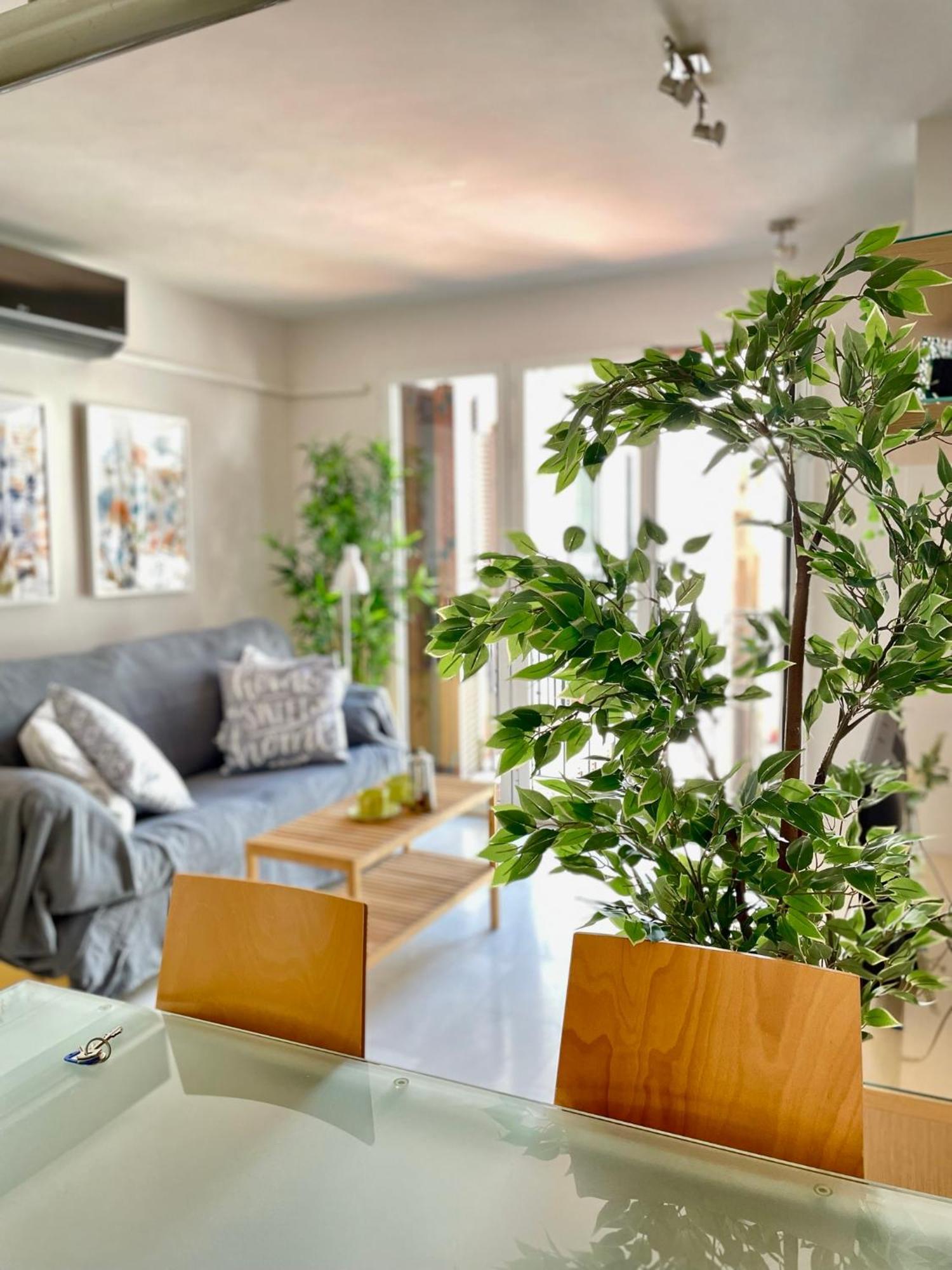 Apartment Centrico - Catedral